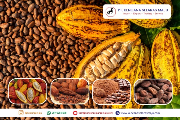 WhatsApp Image 2025-07-21 at 20.13.41 (1)