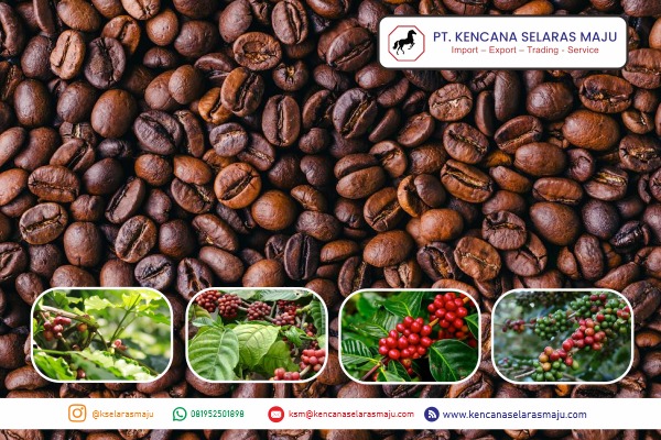 WhatsApp Image 2025-07-21 at 20.13.41