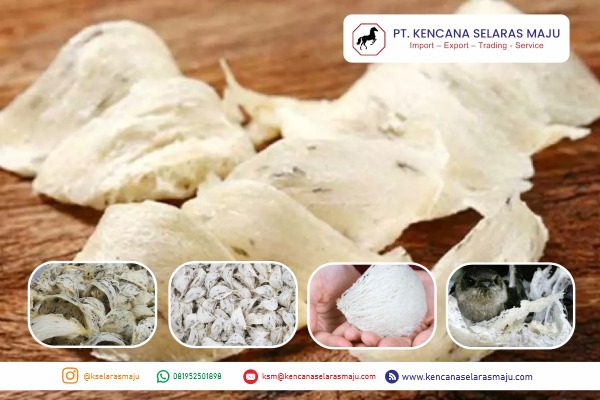 WhatsApp Image 2025-07-21 at 20.13.42 (2)