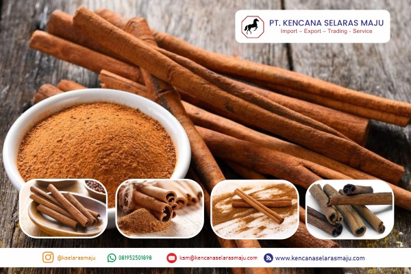 WhatsApp Image 2025-07-21 at 20.13.42 (3)