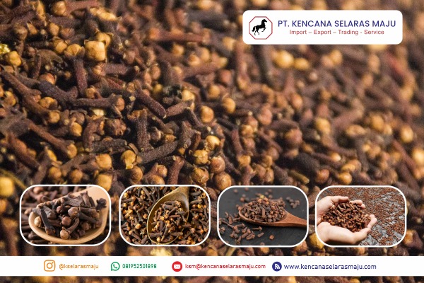 WhatsApp Image 2025-07-21 at 20.13.42